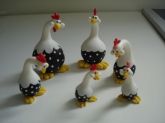 CONJUNTO GALINHA